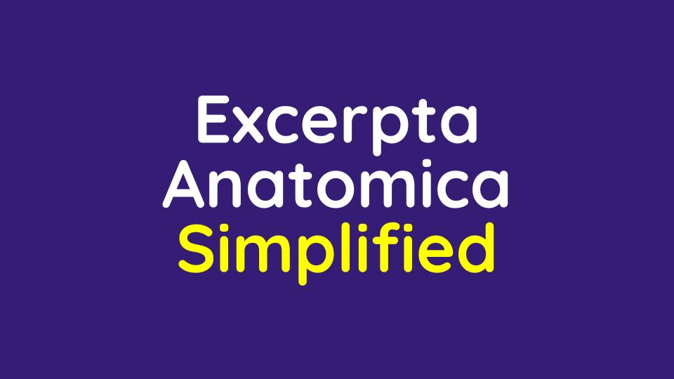 Excerpta Anatomica Simplified
