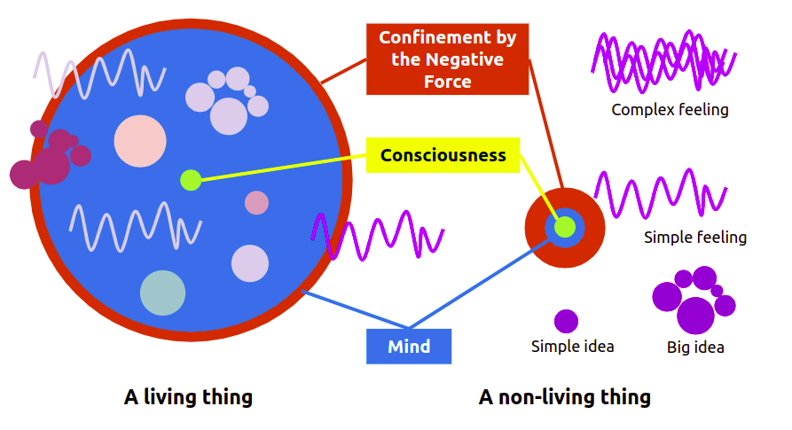 Living and non-living mind