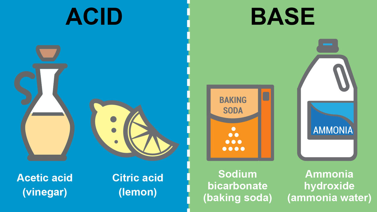 Acids and Bases as Male and Female Effects