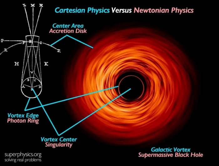 Supermassive Black Holes as Galactic Vortices