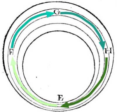 Vortex motion irregular