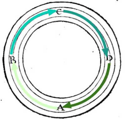 Vortex motion