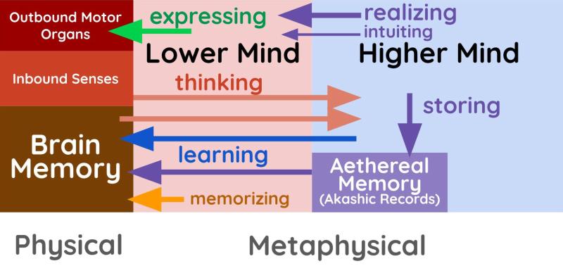 The 4 Operations of Thinking