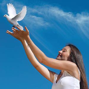 Freedom